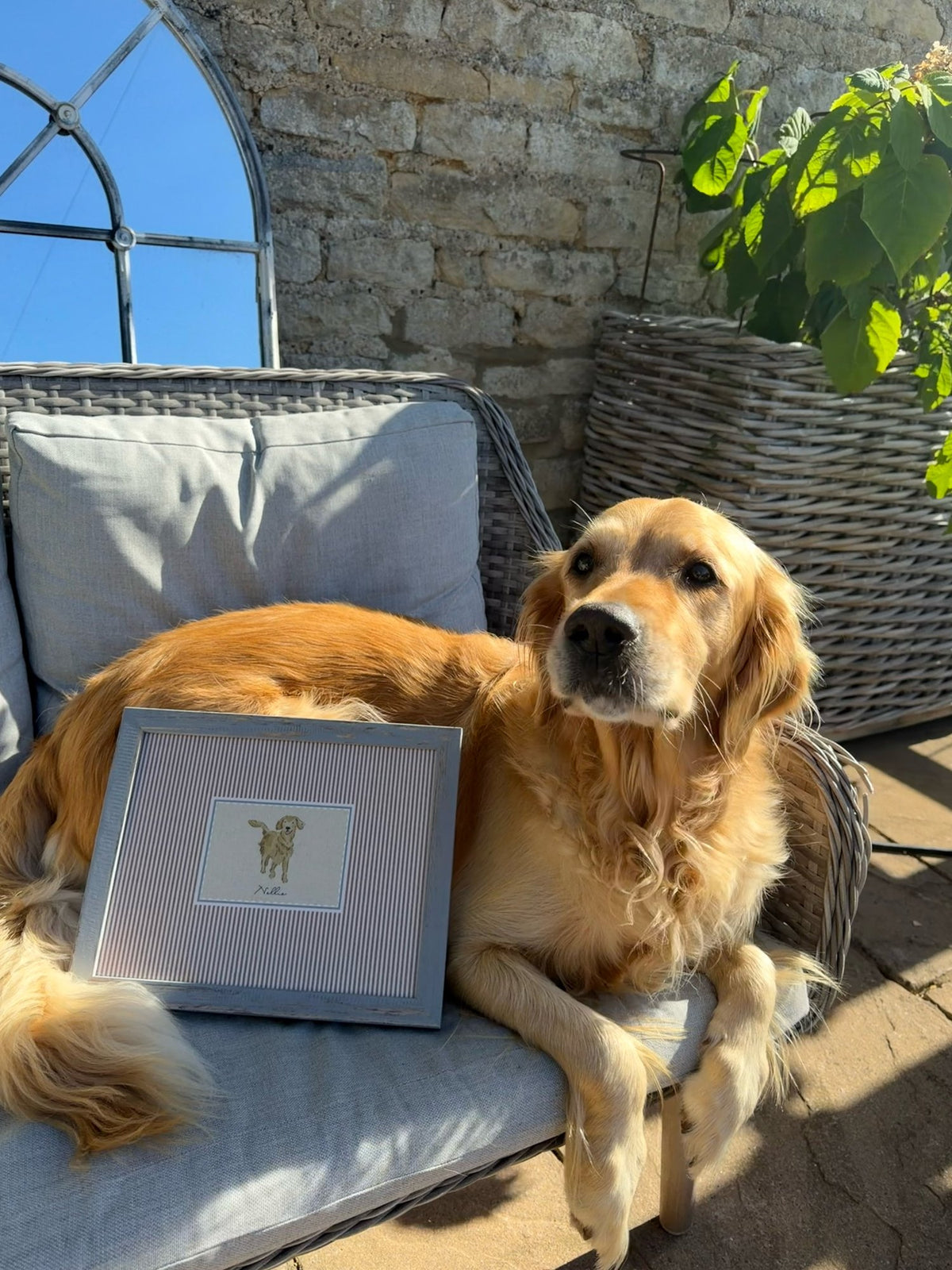 Nellie with their personalised dog print