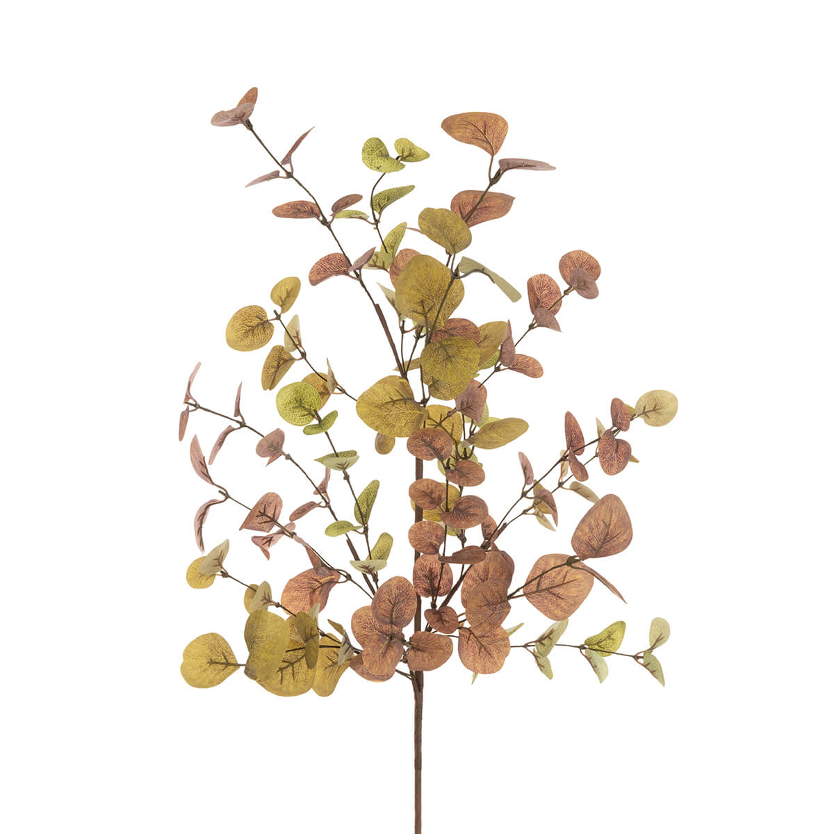 Antique Eucalyptus Spray