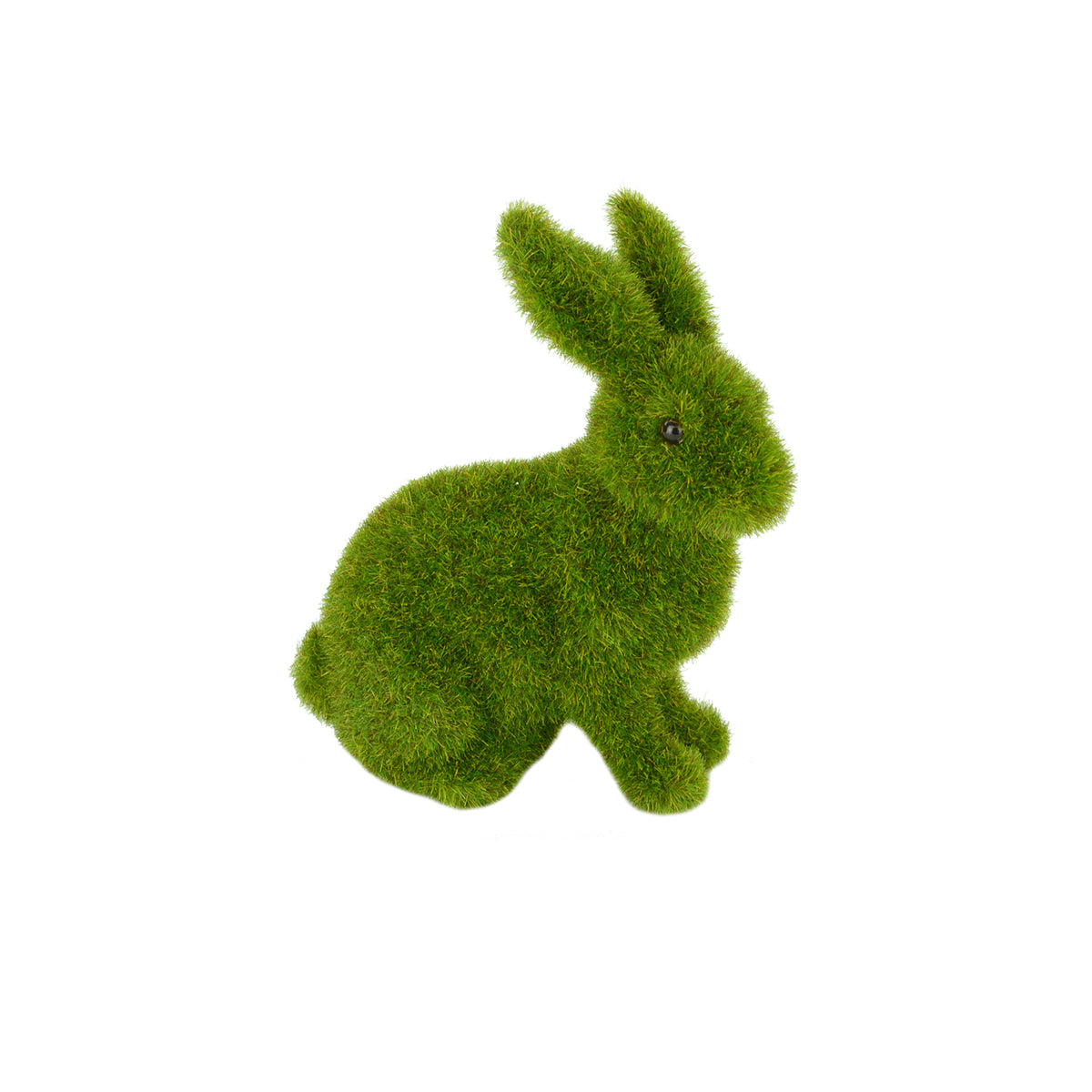 Sitting Rabbit
