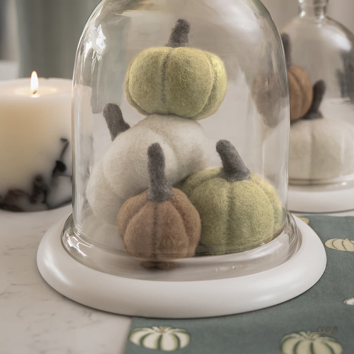 Large Glass Cloche