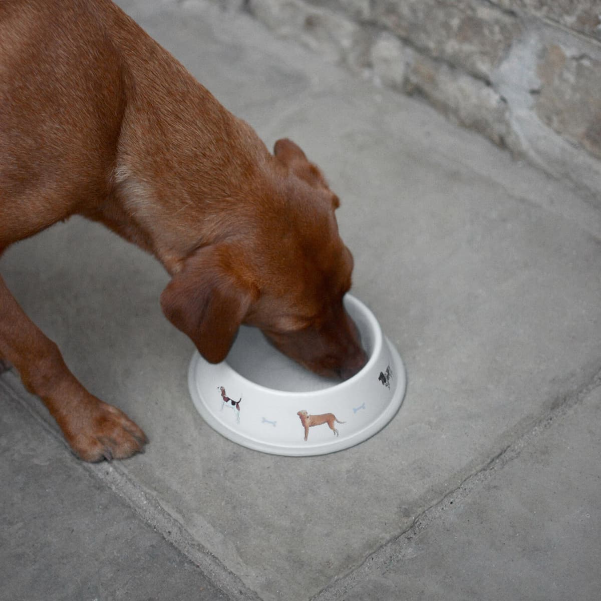 Woof Dog Bowl