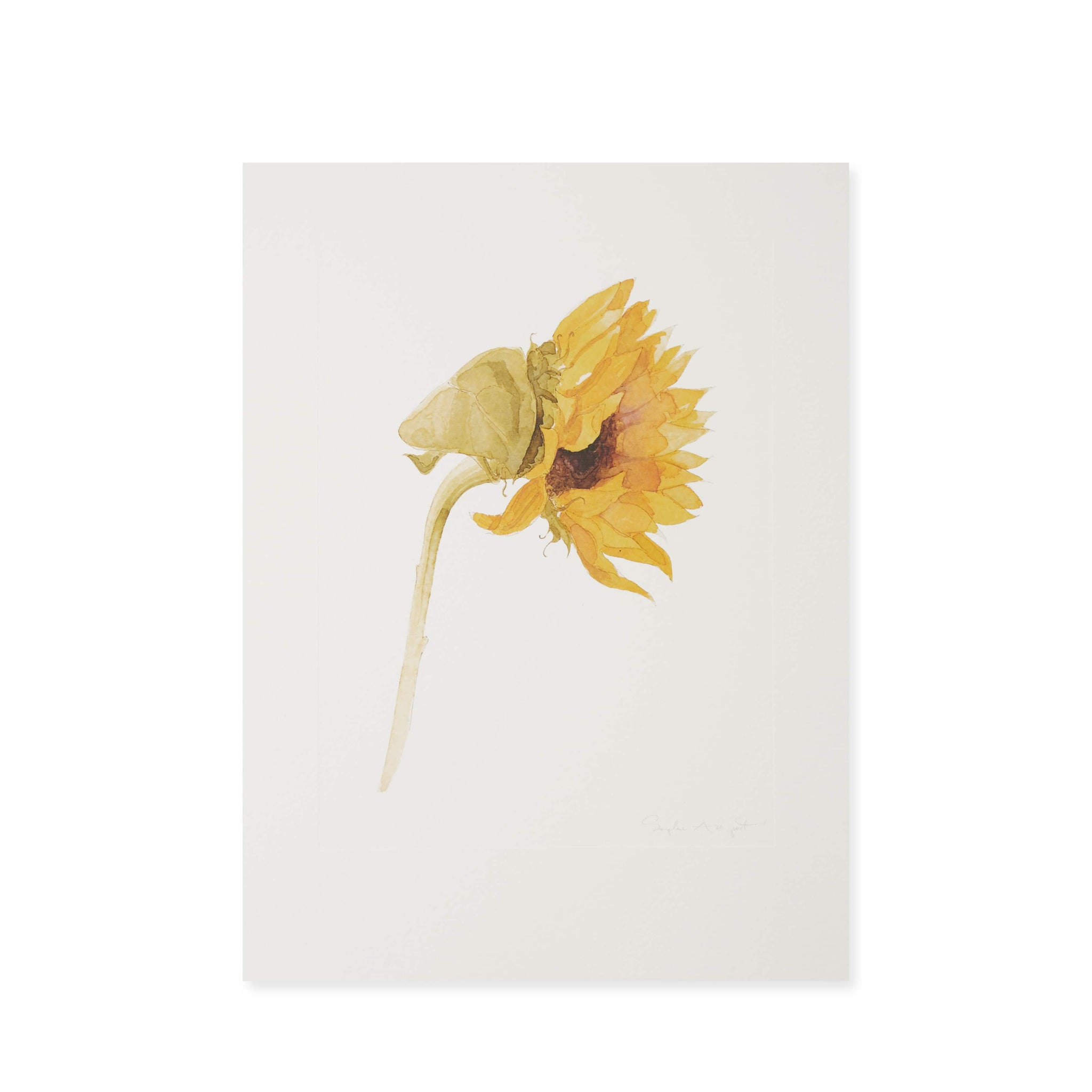 Archive Sunflower Print