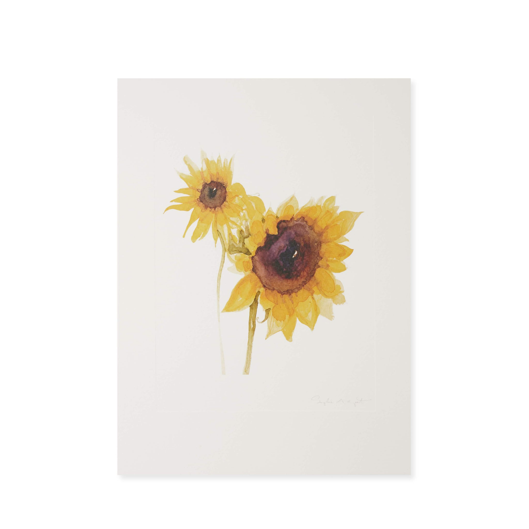 Archive Multi Sunflower Print