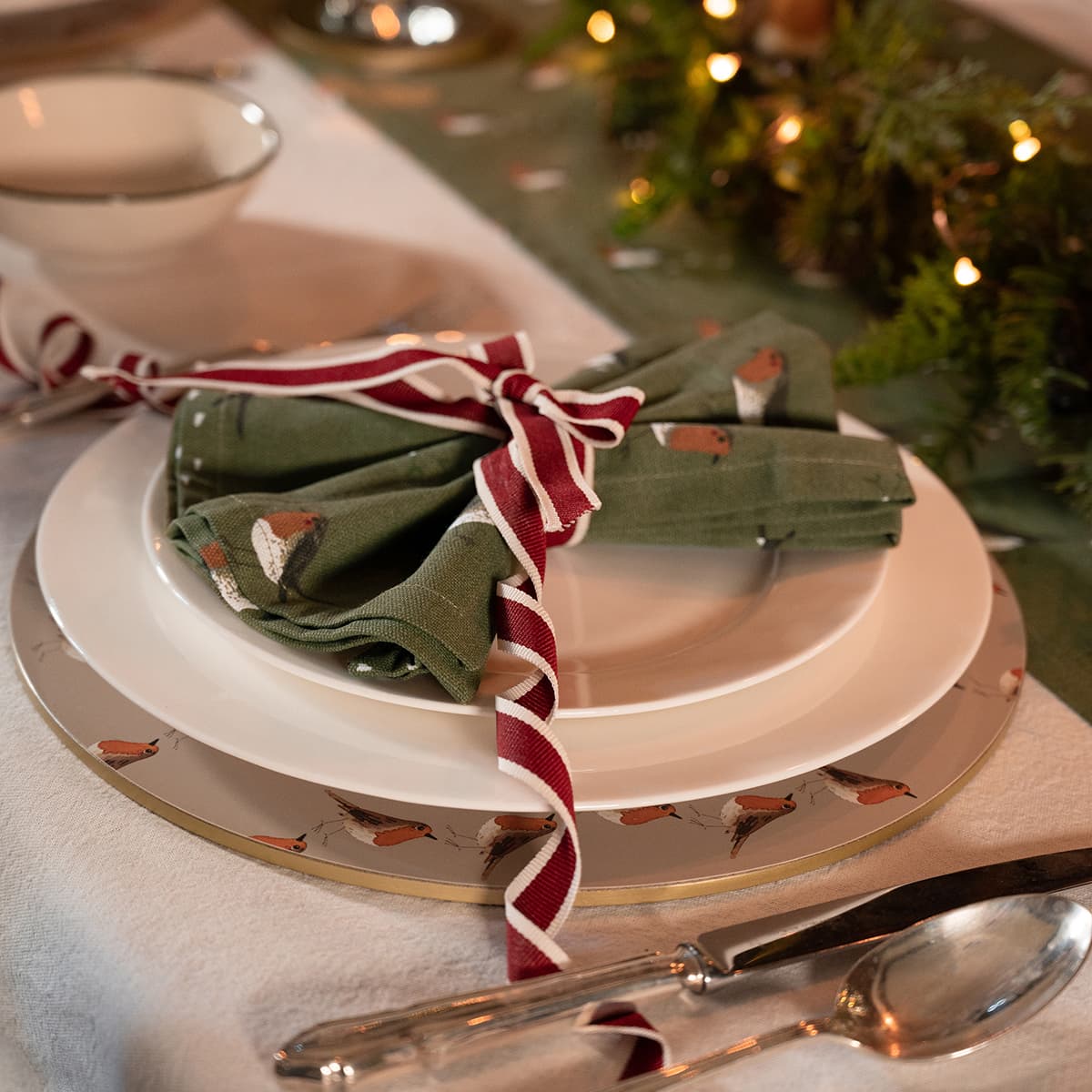 Robin Circular Placemats (Set of 4)