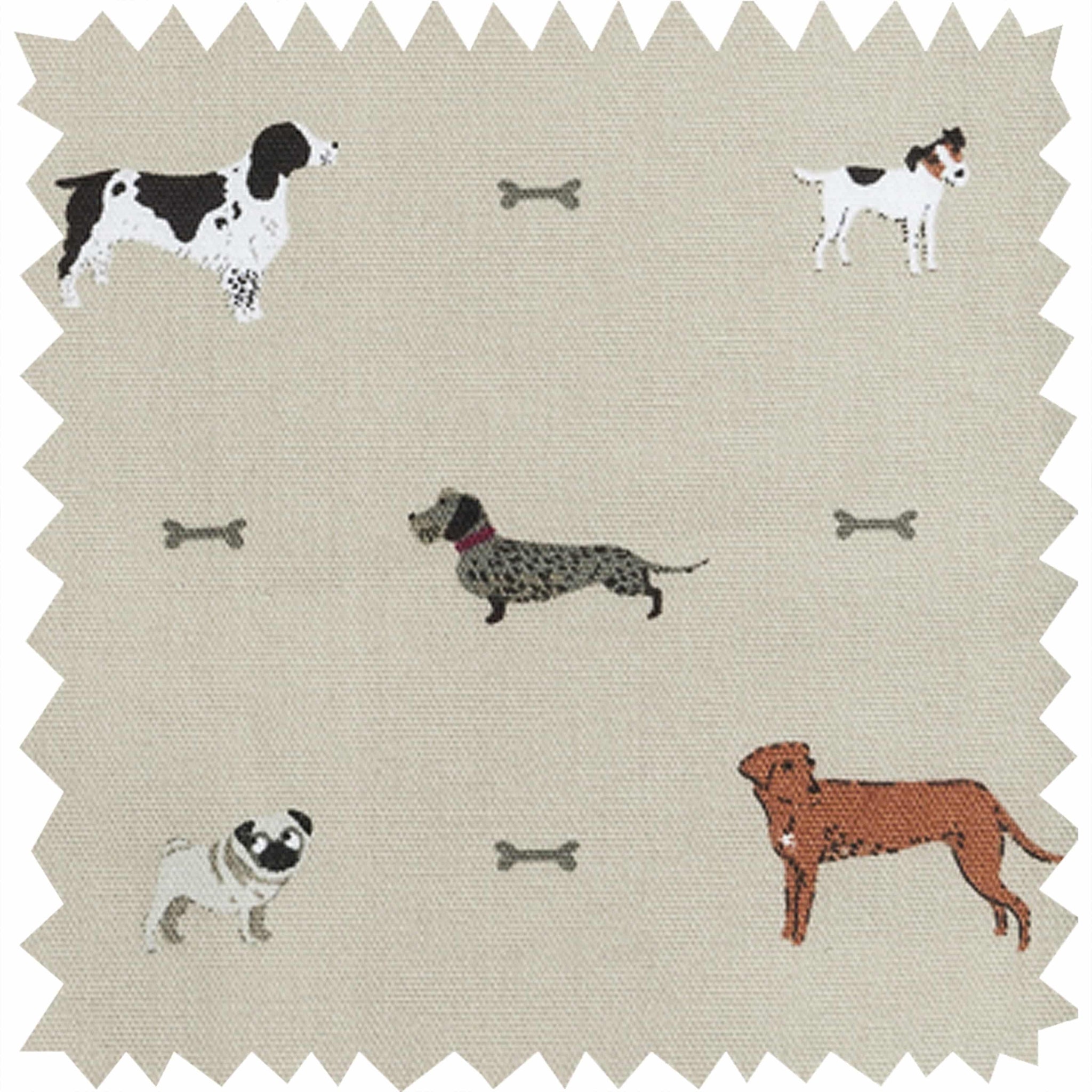 Fabric Swatch