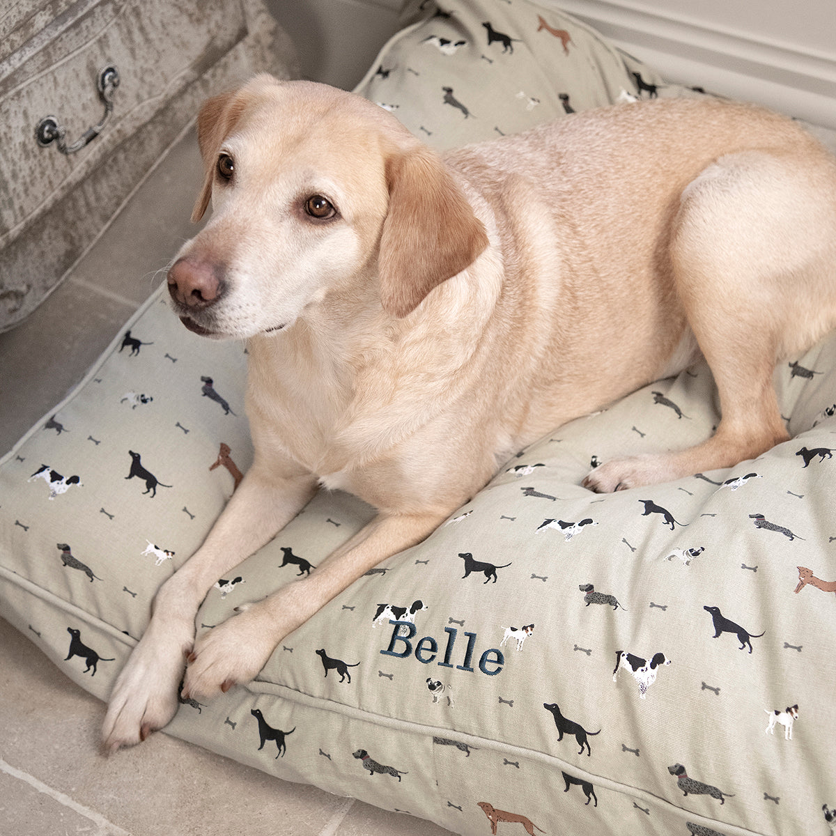 Woof pet mattress cover by Sophie Allport