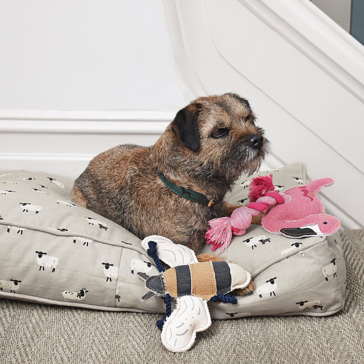 Dog sitting on Sophie Allport dog bed with Bee dog toy and flamingo dog toy