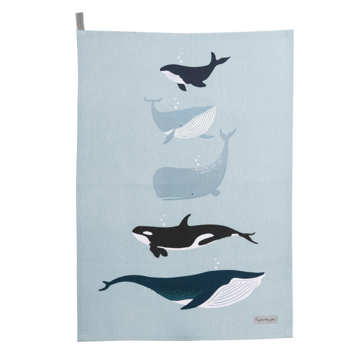 Whales Statement Cotton Tea Towel by Sophie Allport