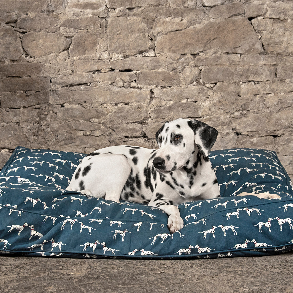 Dalmatian Pet Mattress by Sophie Allport