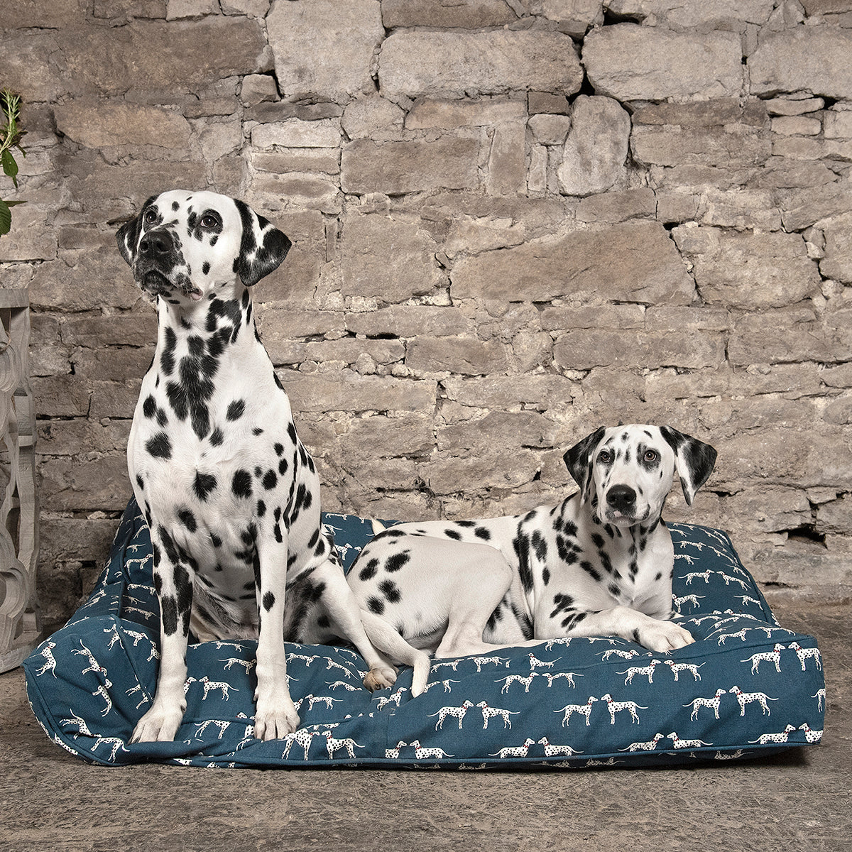 Dalmatian Pet Mattress