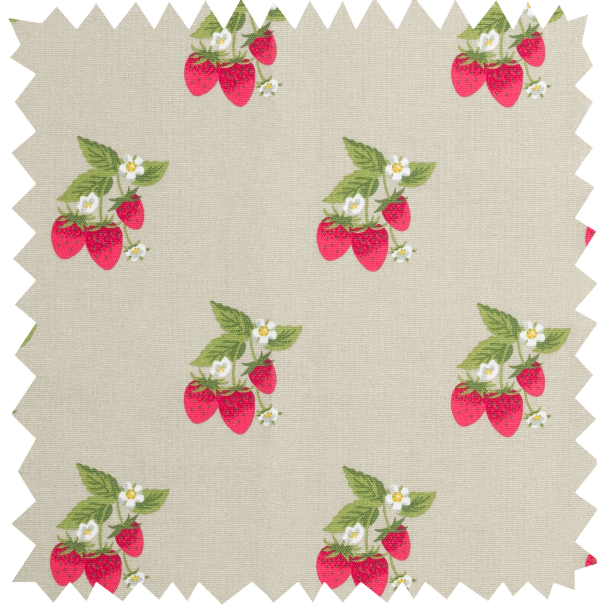 Strawberries Fabric Sample
