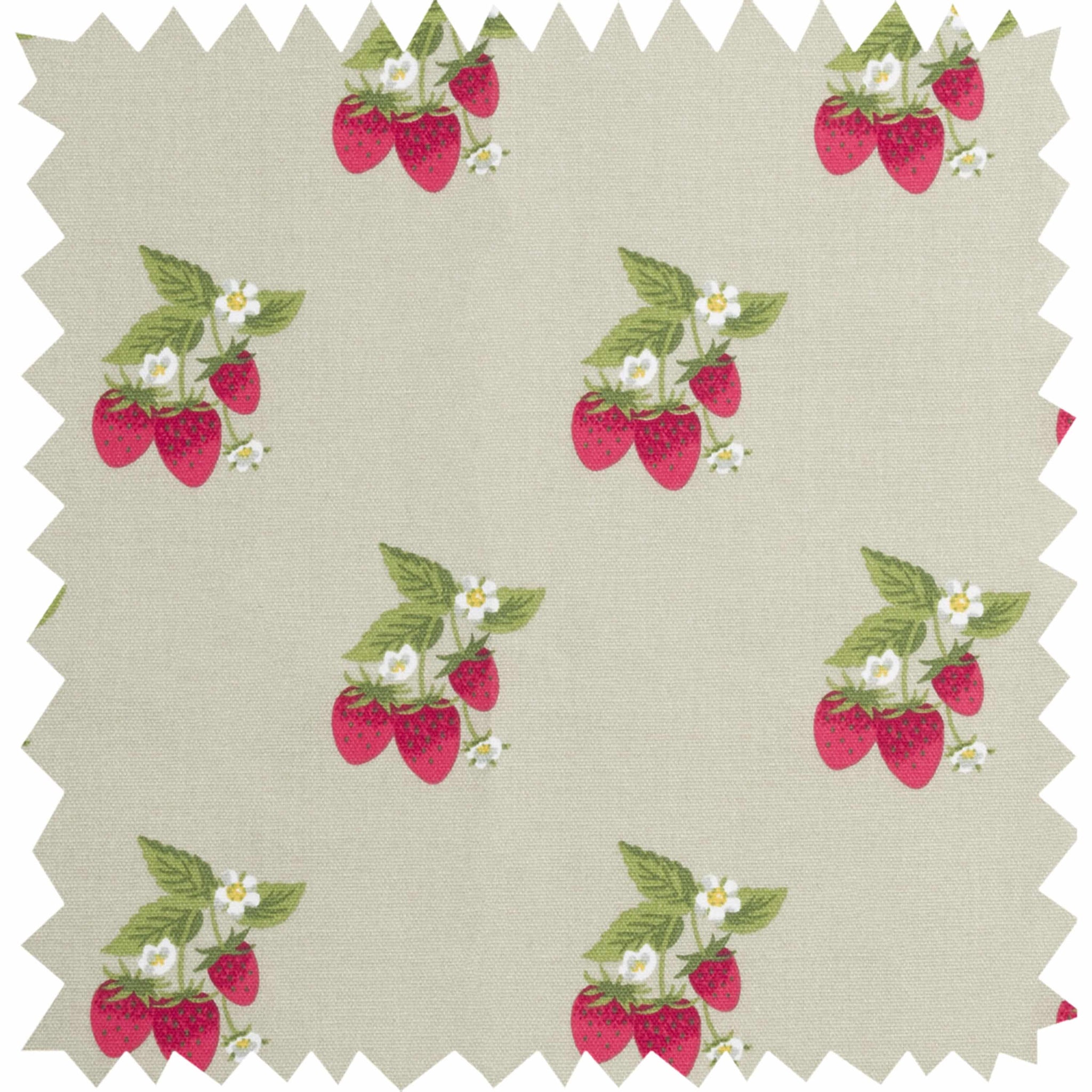 Fabric Swatch