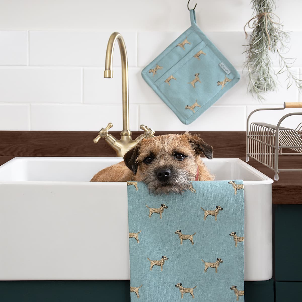 Terriers Tea Towel (Set of 2)