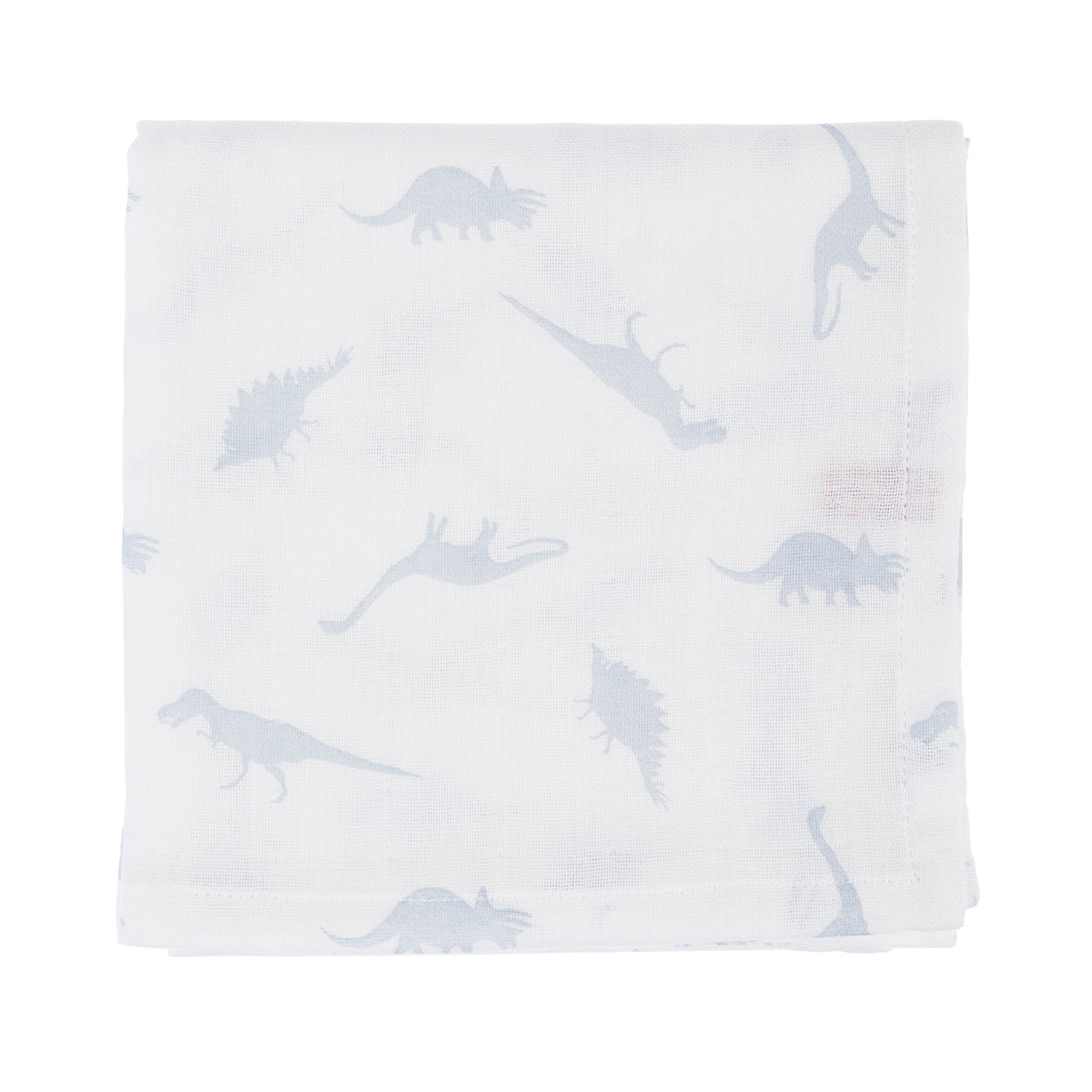 Dinosaur Muslins (Pack of 2)