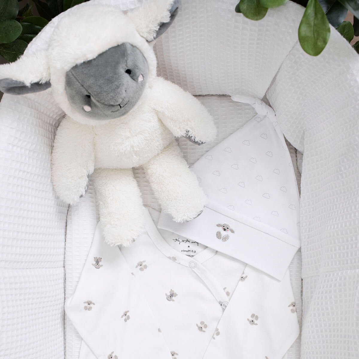 Sheep Soft Toy