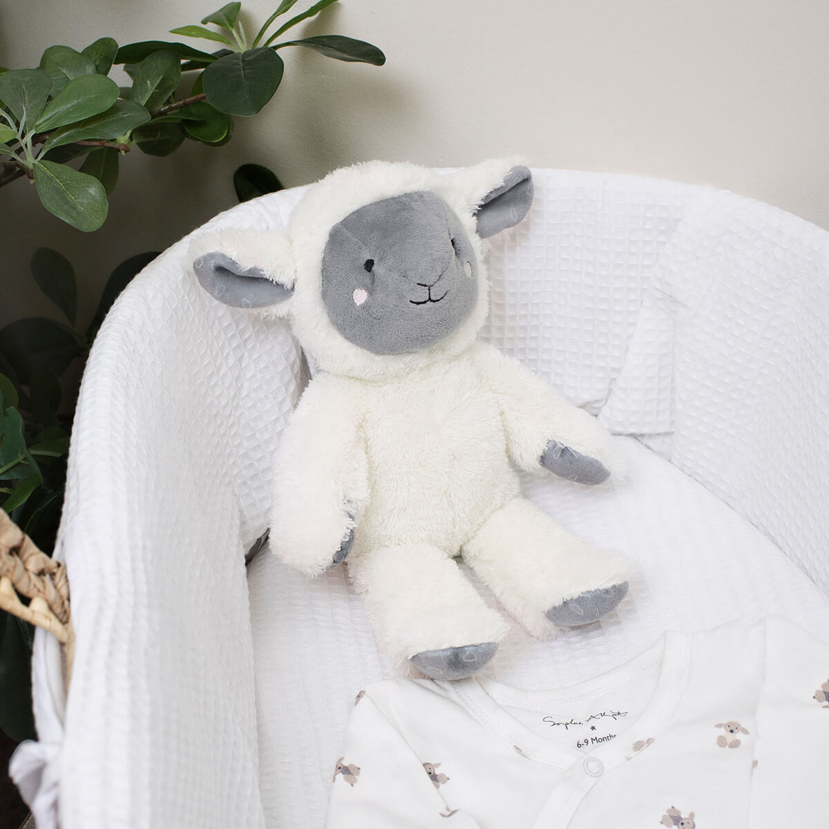 Sheep Soft Toy