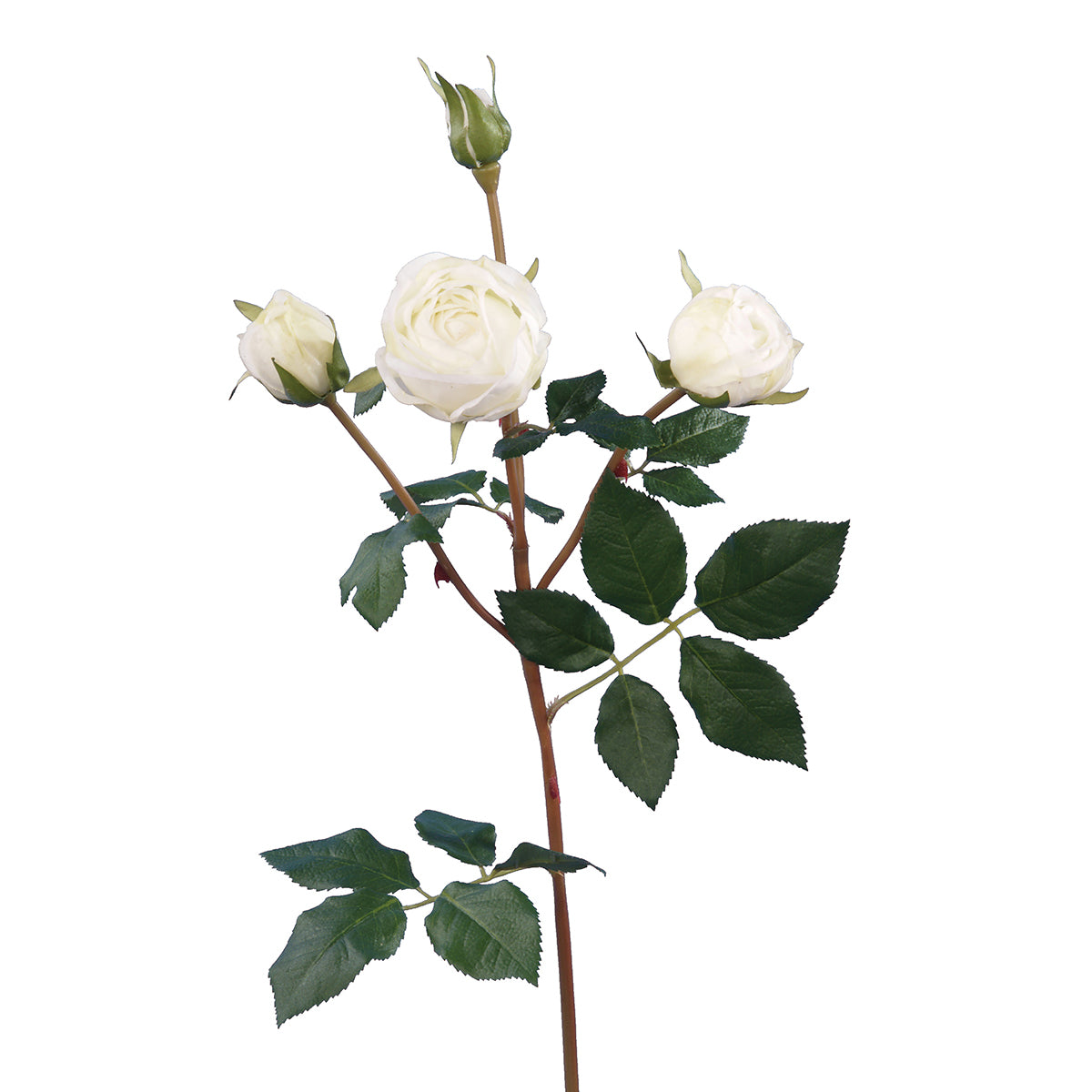 Beautiful Rose Spray