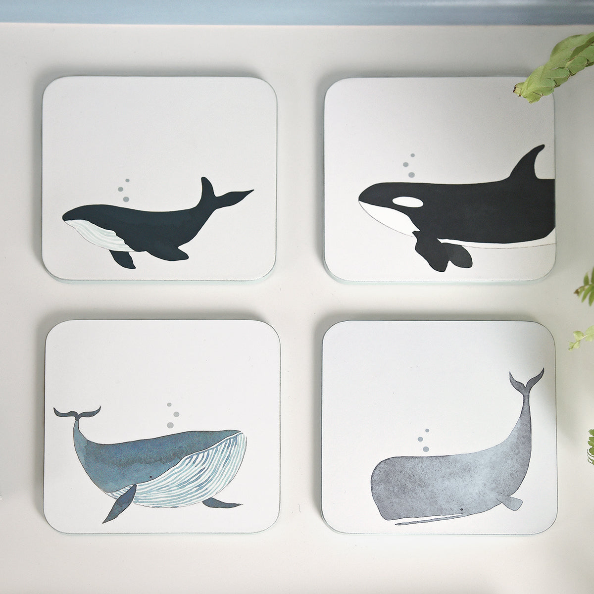 Whales Coasters (Set of 4)