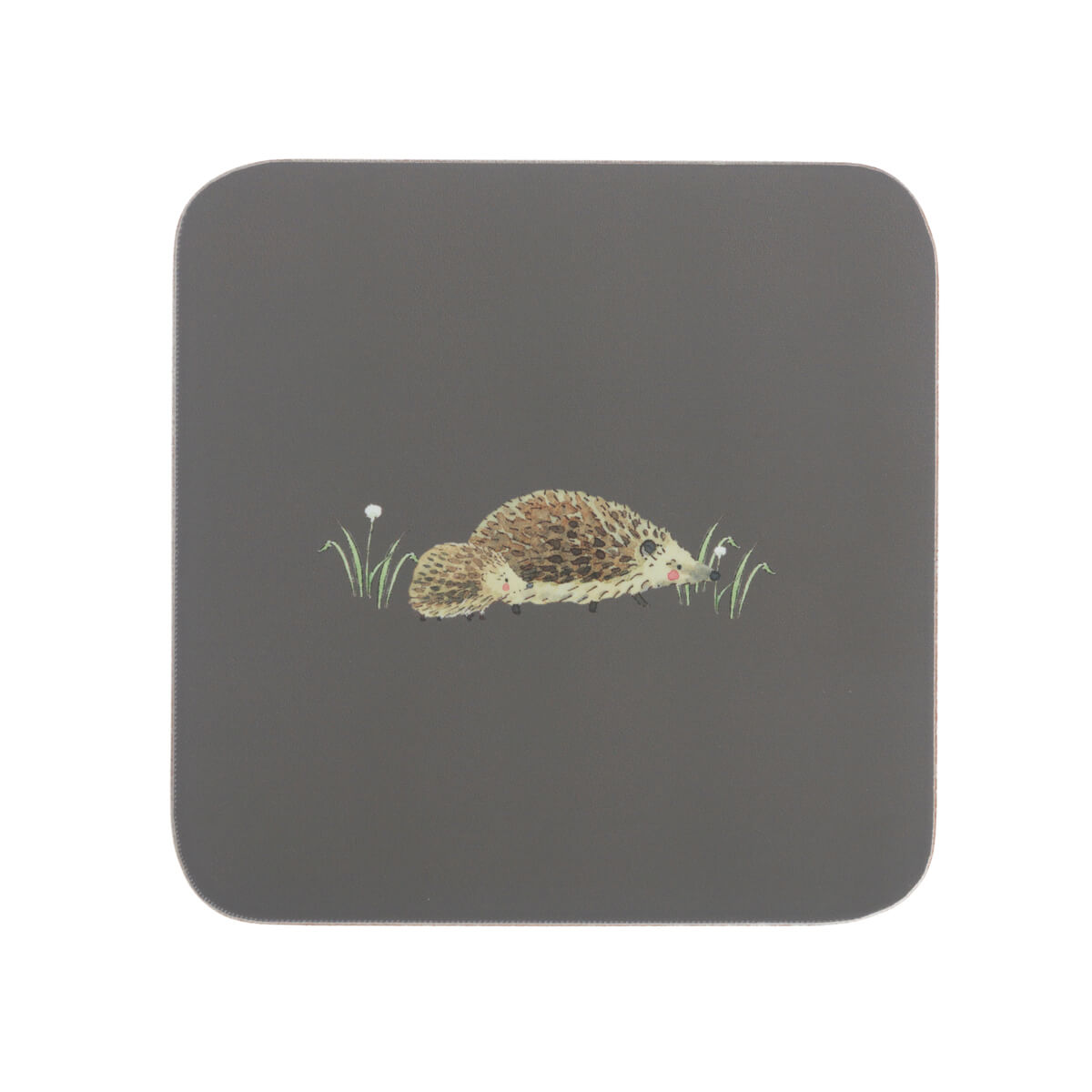 Hedgehogs Coasters (Set of 4)