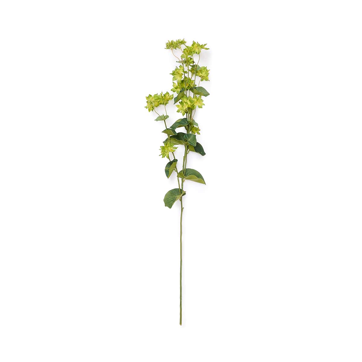 Faux Bupleurum Spray