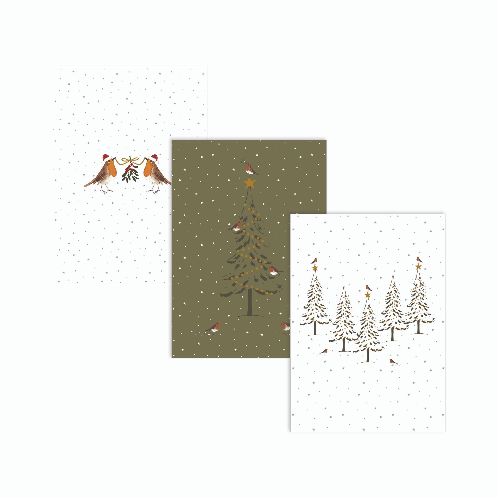 Robin Christmas Cards (Pack of 6)