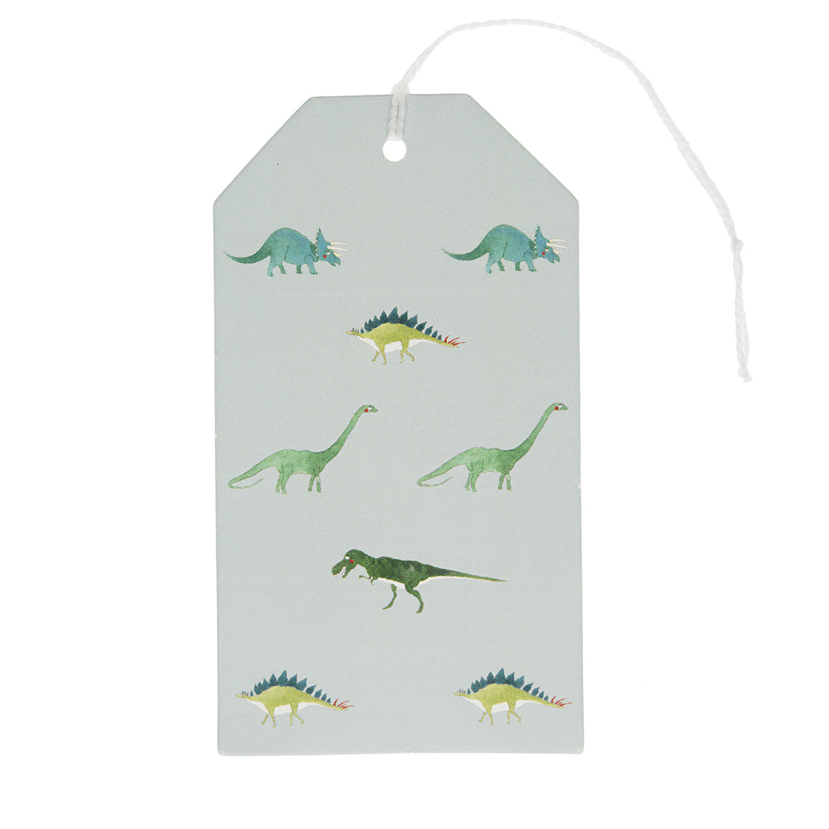 Dinosaurs Gift Tag