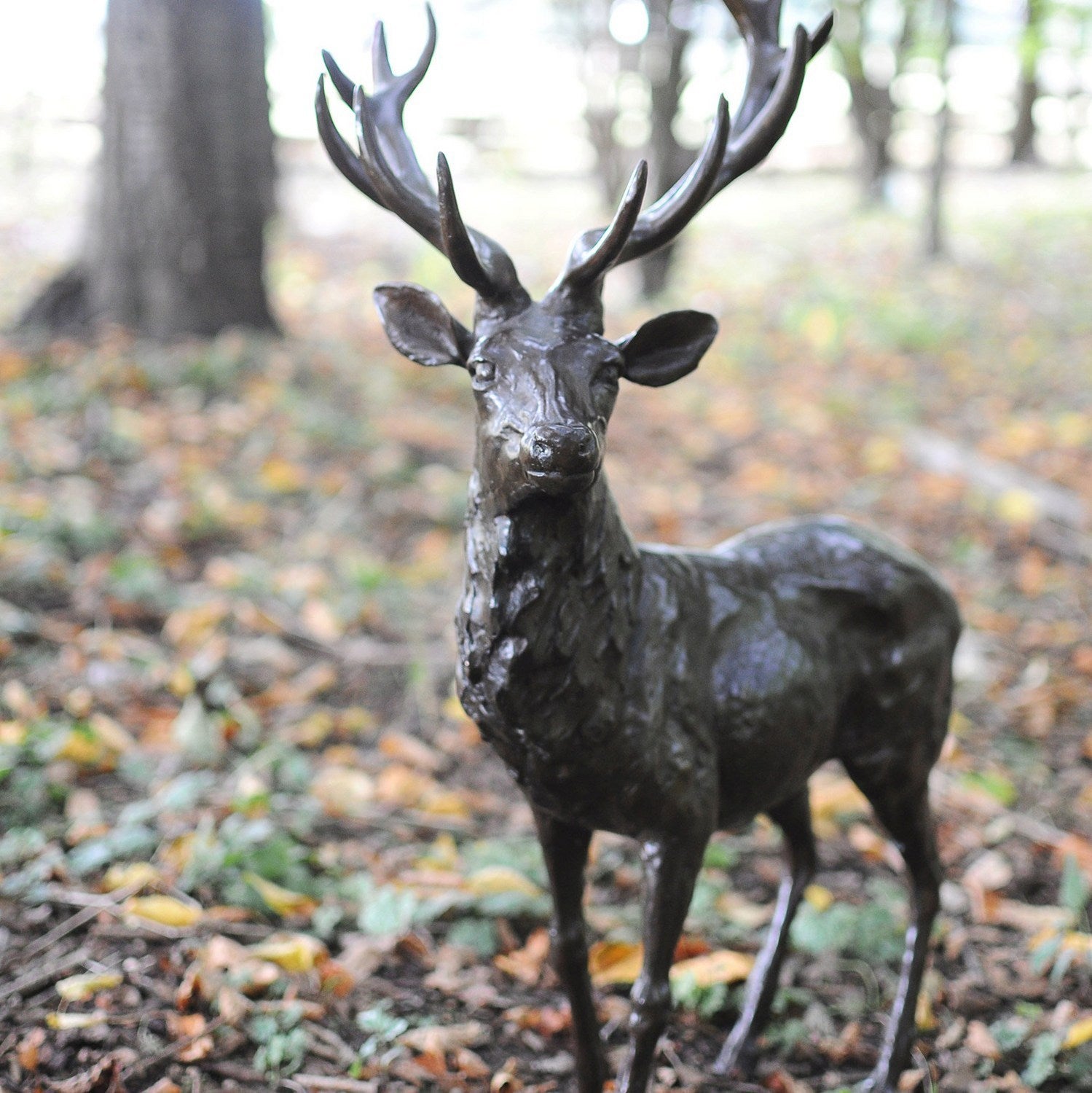Stag Bronze Sculpture