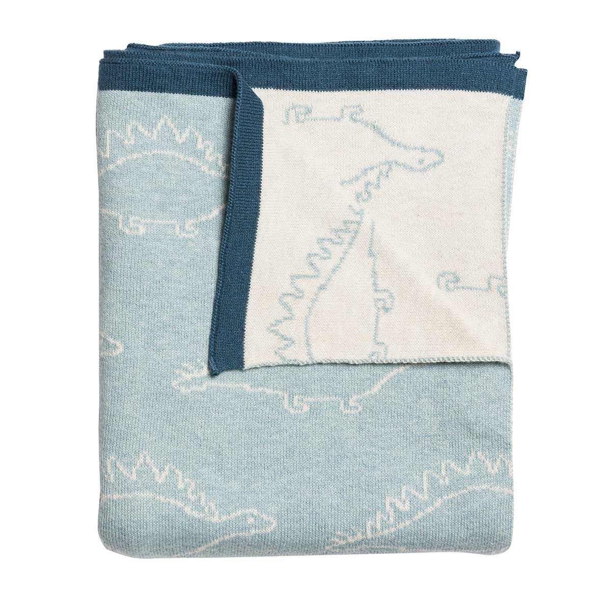 Dinosaurs Baby Blanket