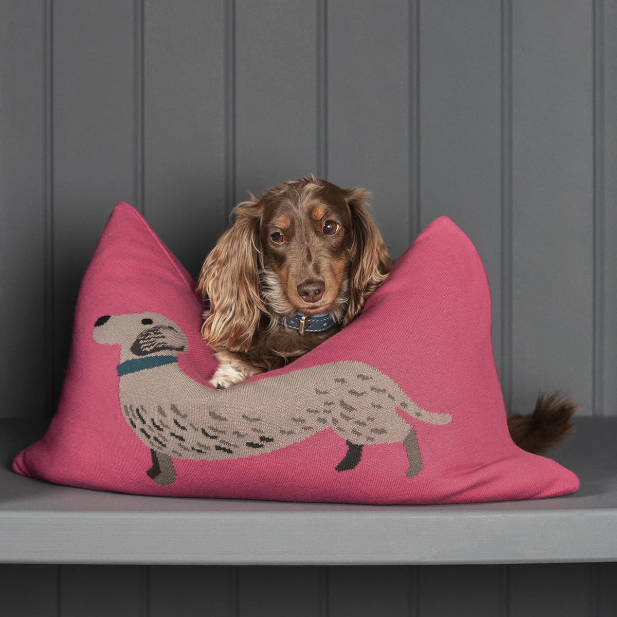 Dachshund Knitted Cushion by Sophie Allport