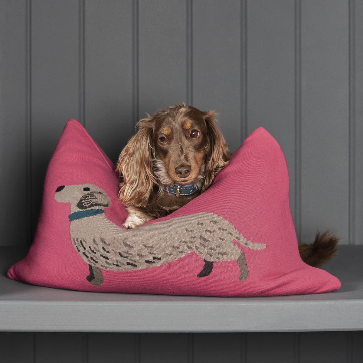 Dachshund Knitted Cushion by Sophie Allport