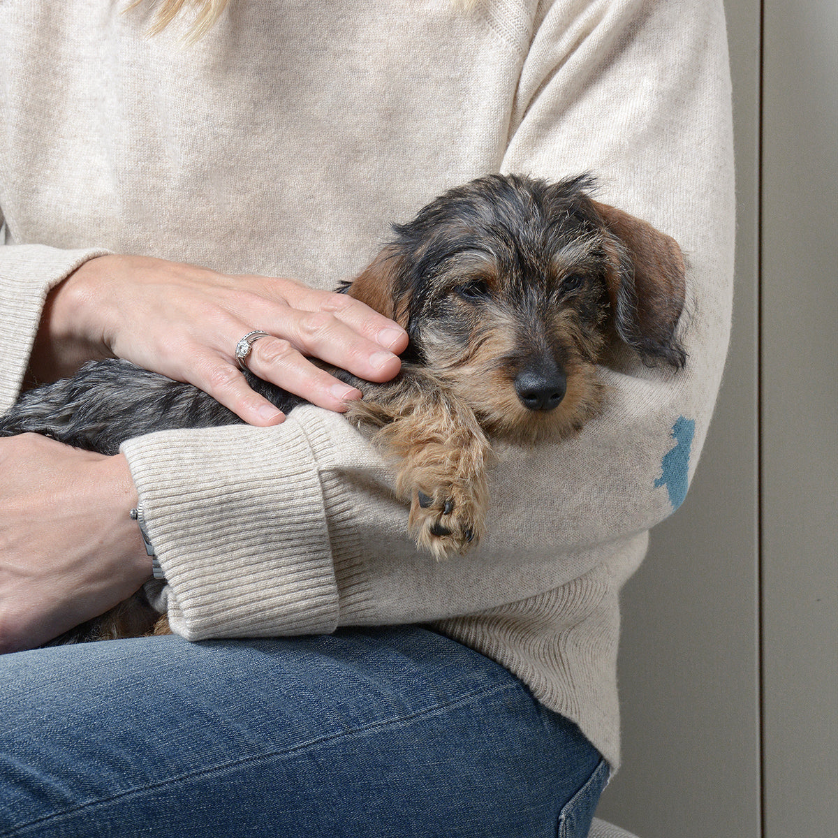 Dachshund Cashmere Jumper