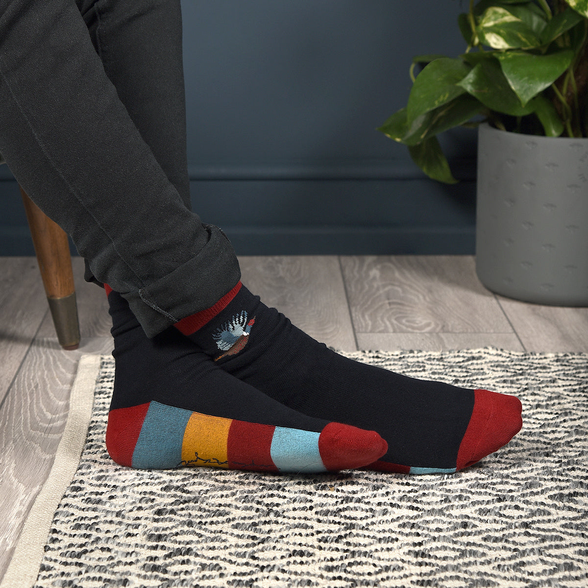 Pheasant Mens Socks by Sophie Allport