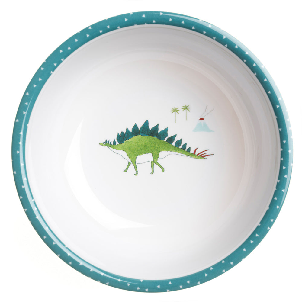 Dinosaurs Childrens Melamine Bowl