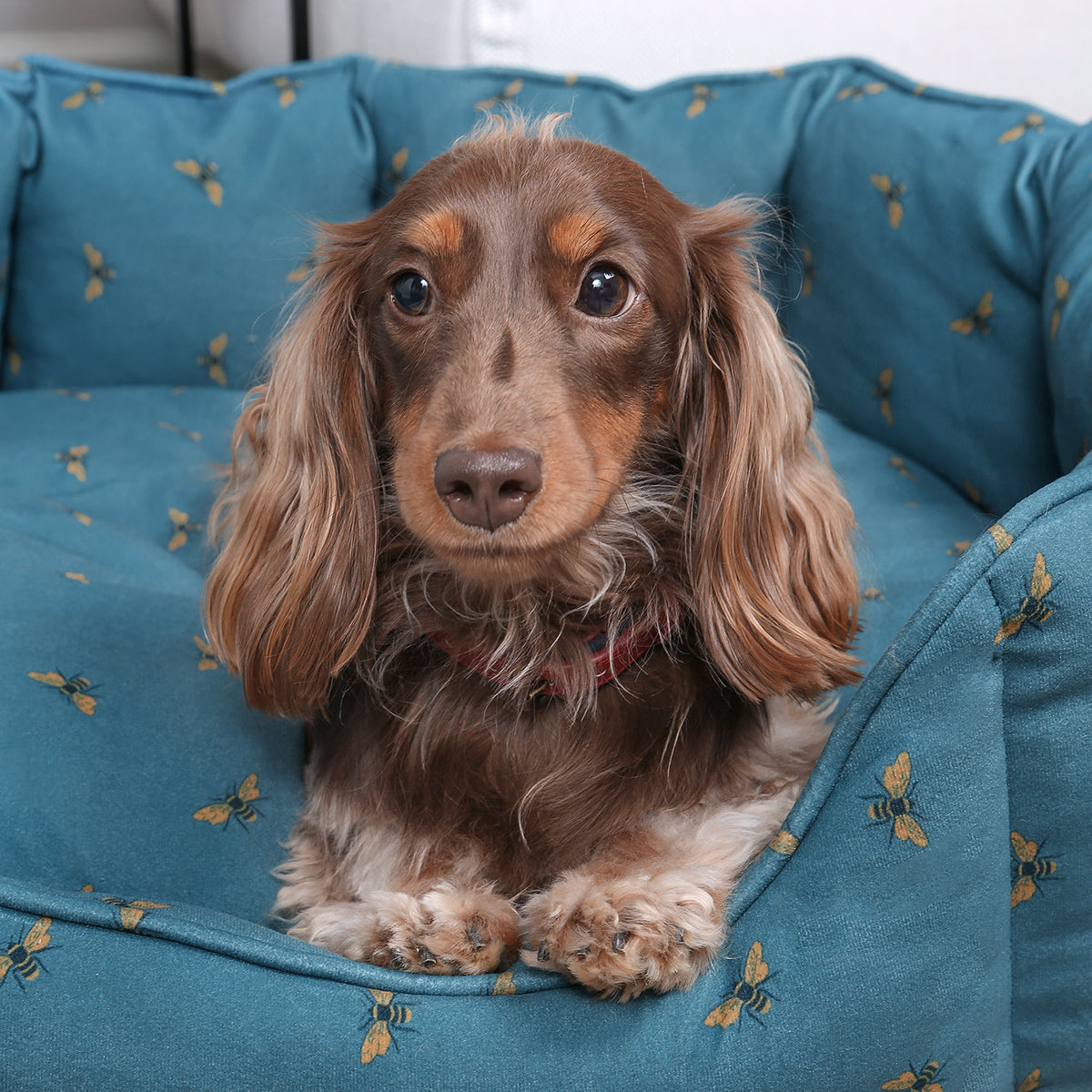 Bees Pet Bed