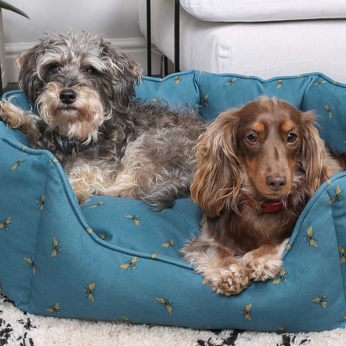 Bees Pet Bed