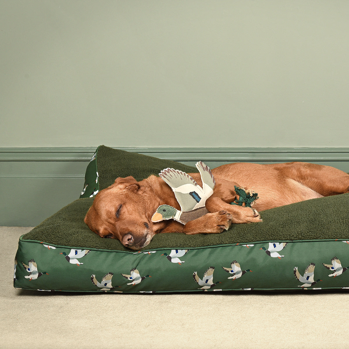 Ducks dog toy by Sophie Allport