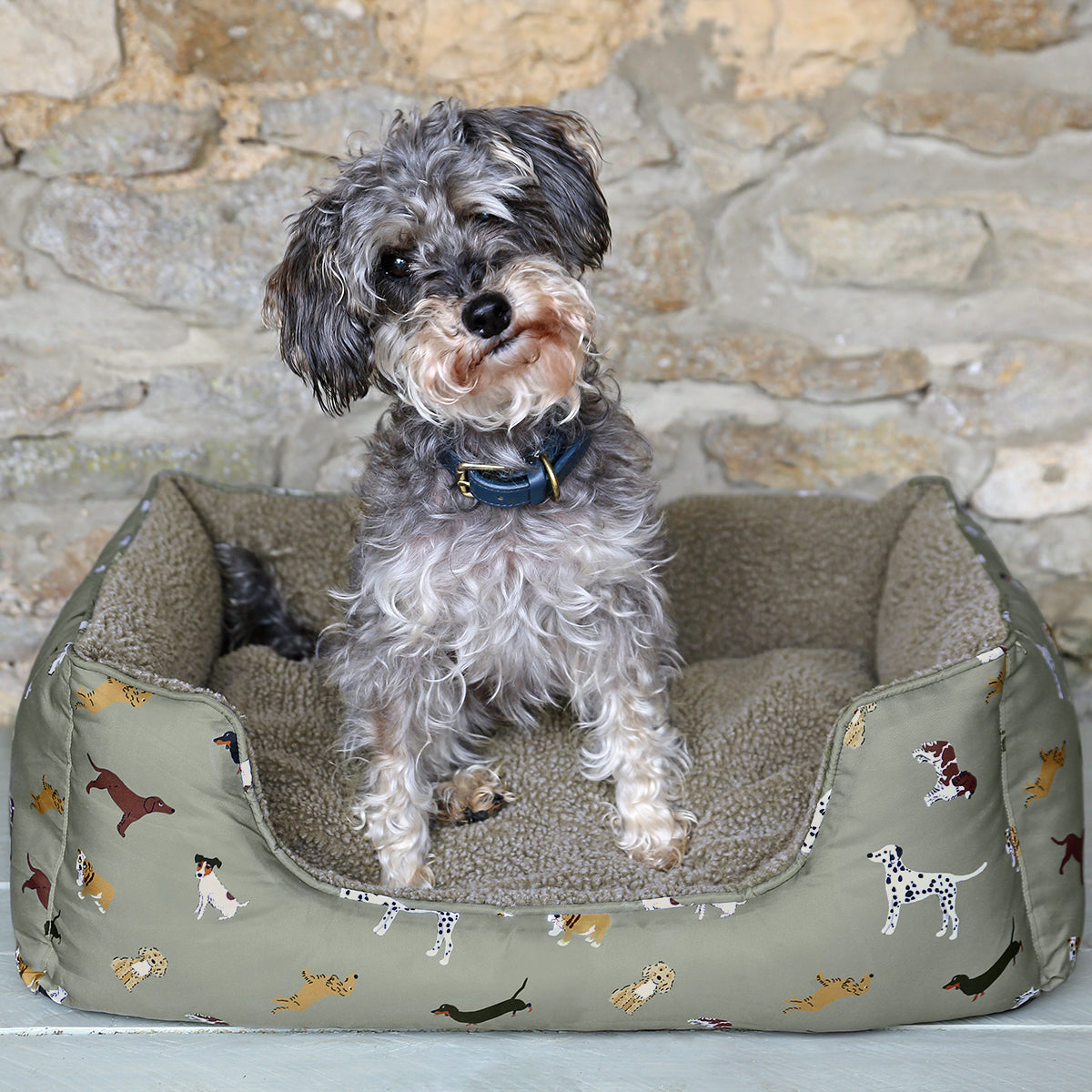 dog bed with faux sherpa lining featuring Sophie Allport dog illustrations