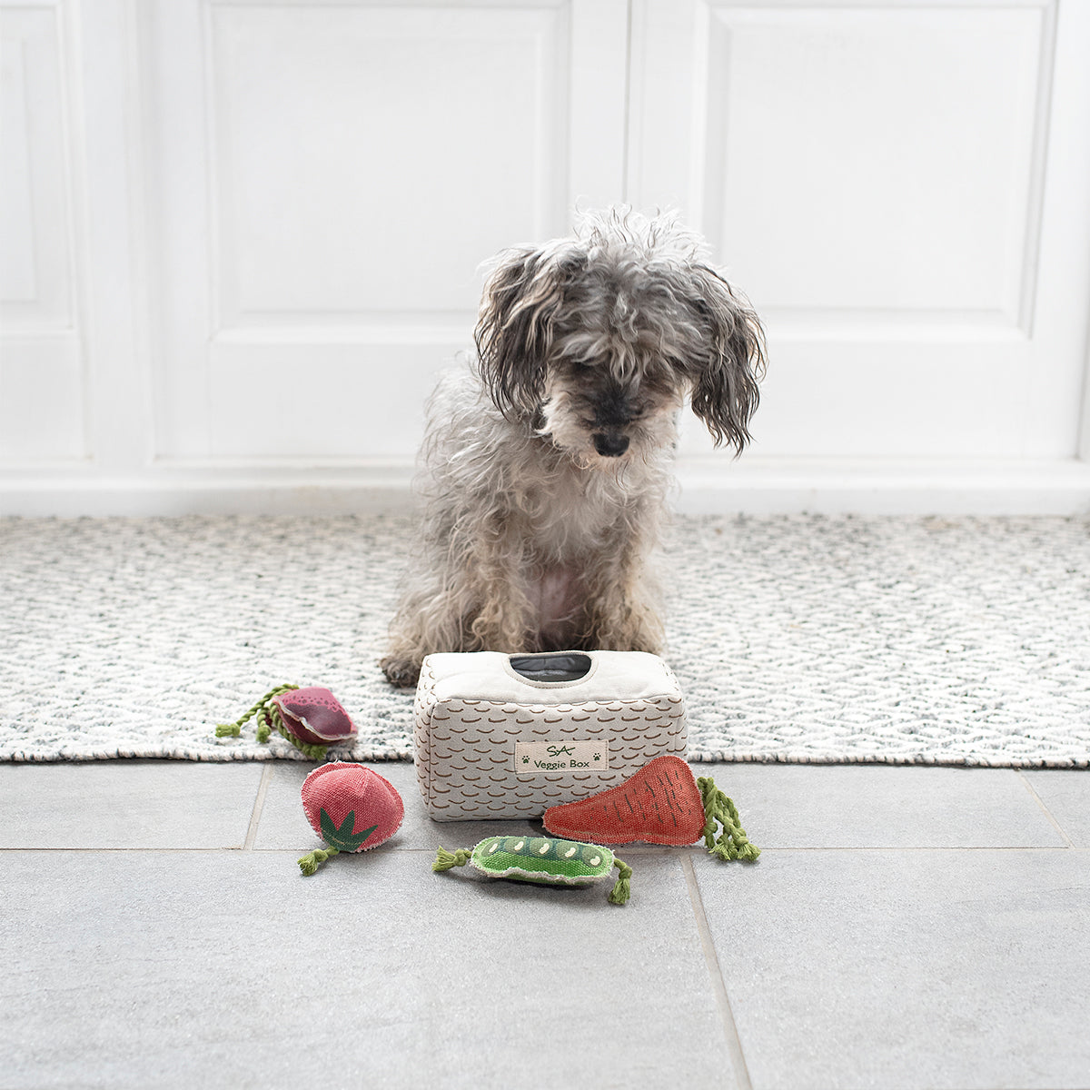 Veggie Box Dog Toy Set by Sophie Allport