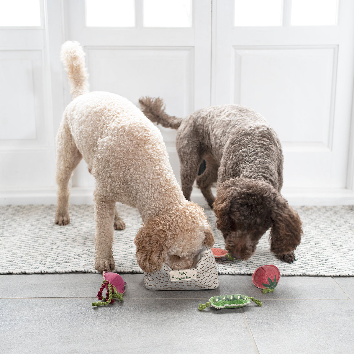 Dogs playing with Sophie Allport Veggie Dog Toy Set