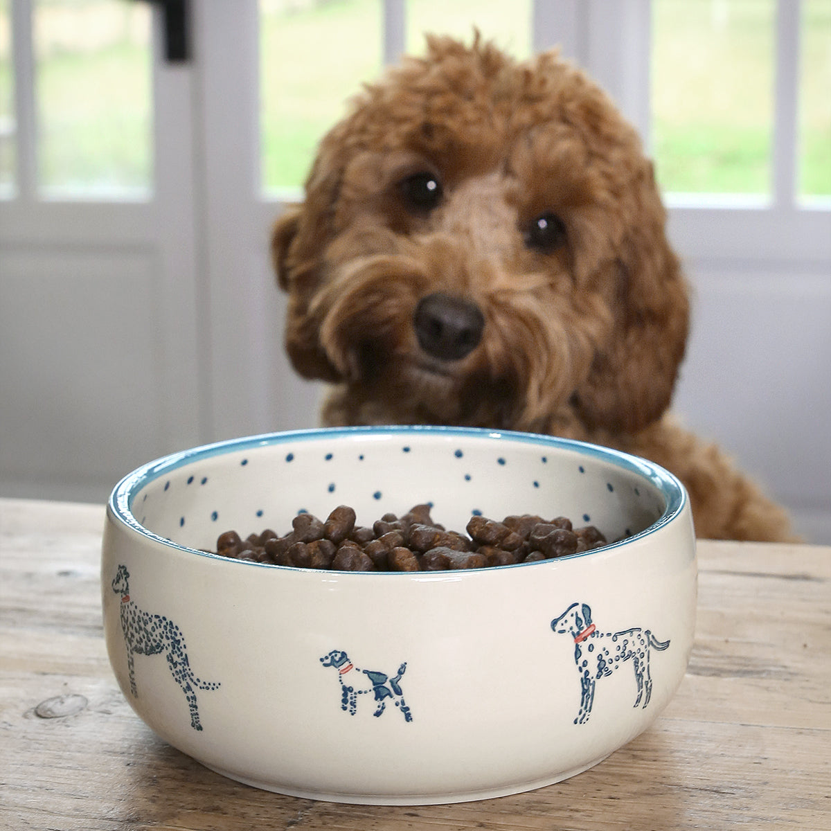 Pet Bowl by Sophie Allport made from Stoneware