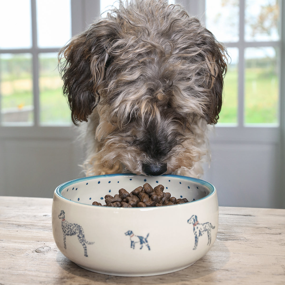 Stoneware Pet Bowl 