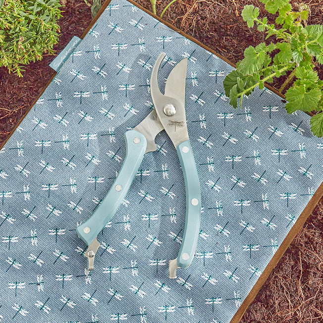 Dragonfly Secateurs Set