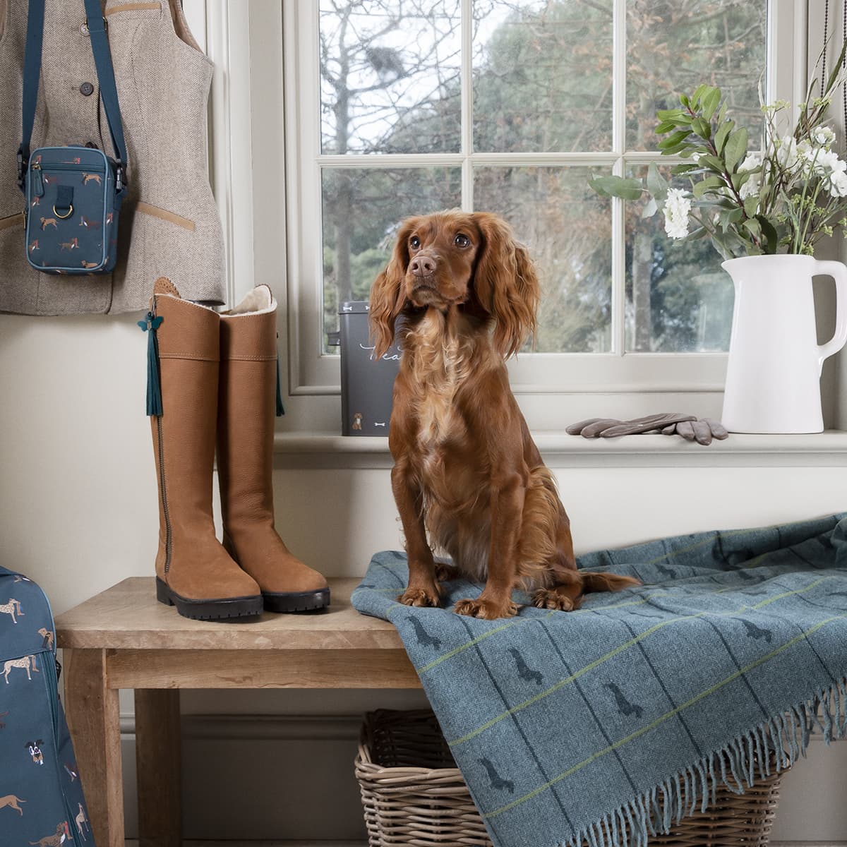 Dachshund Wool Knitted Throw