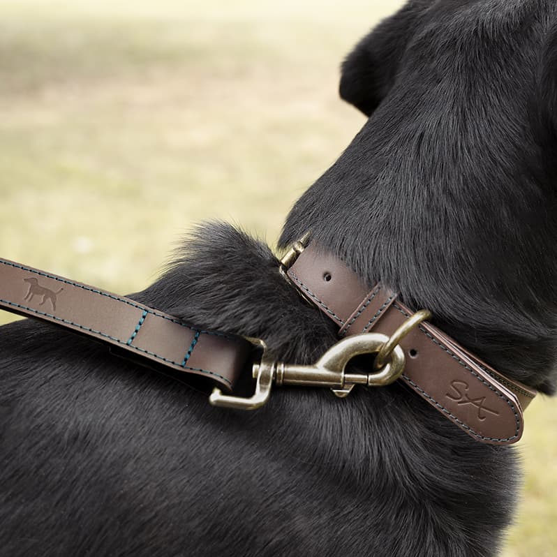 Woof Leather Dog Lead