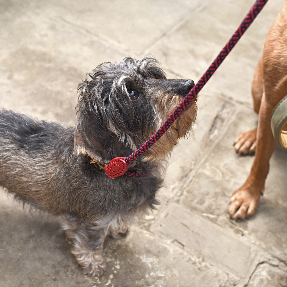 Red Rope Collar