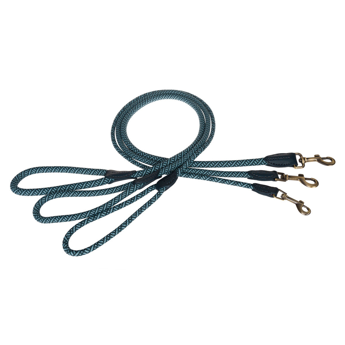Teal Rope Lead by Sophie Allport