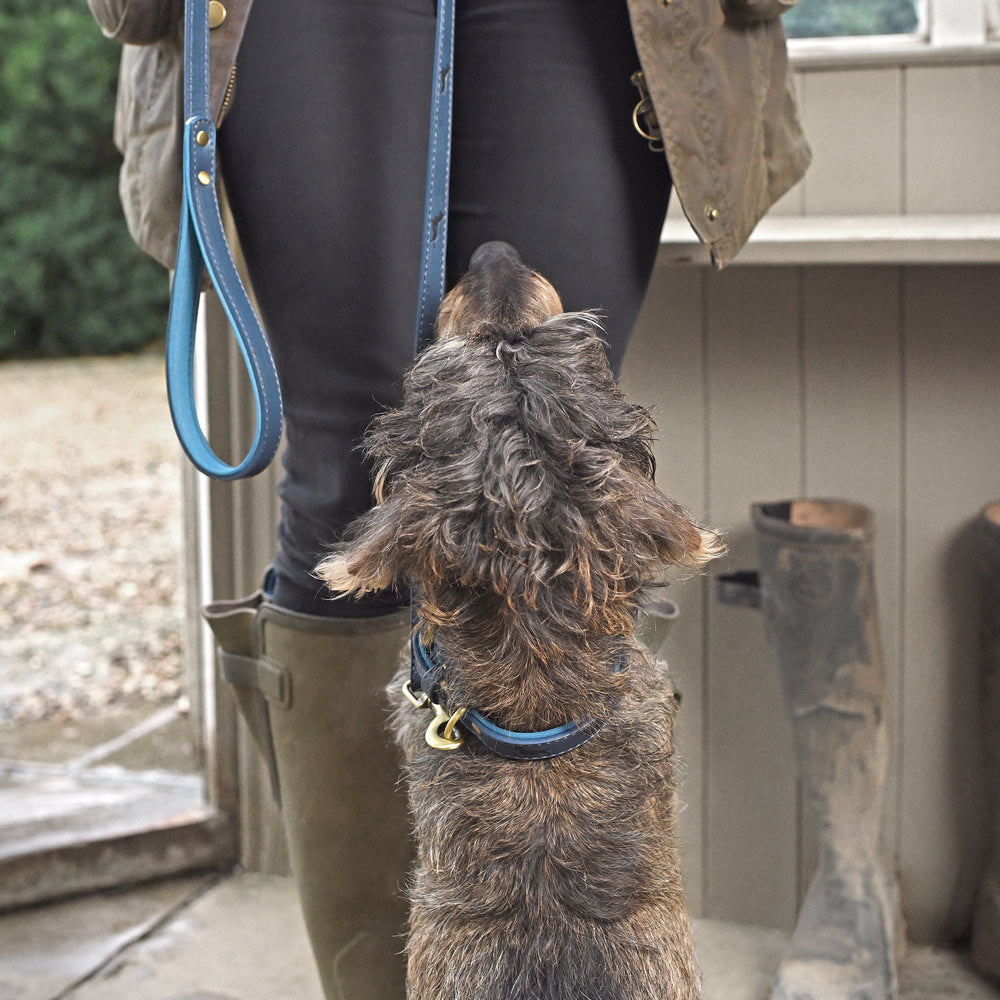 Teal Dog Lead