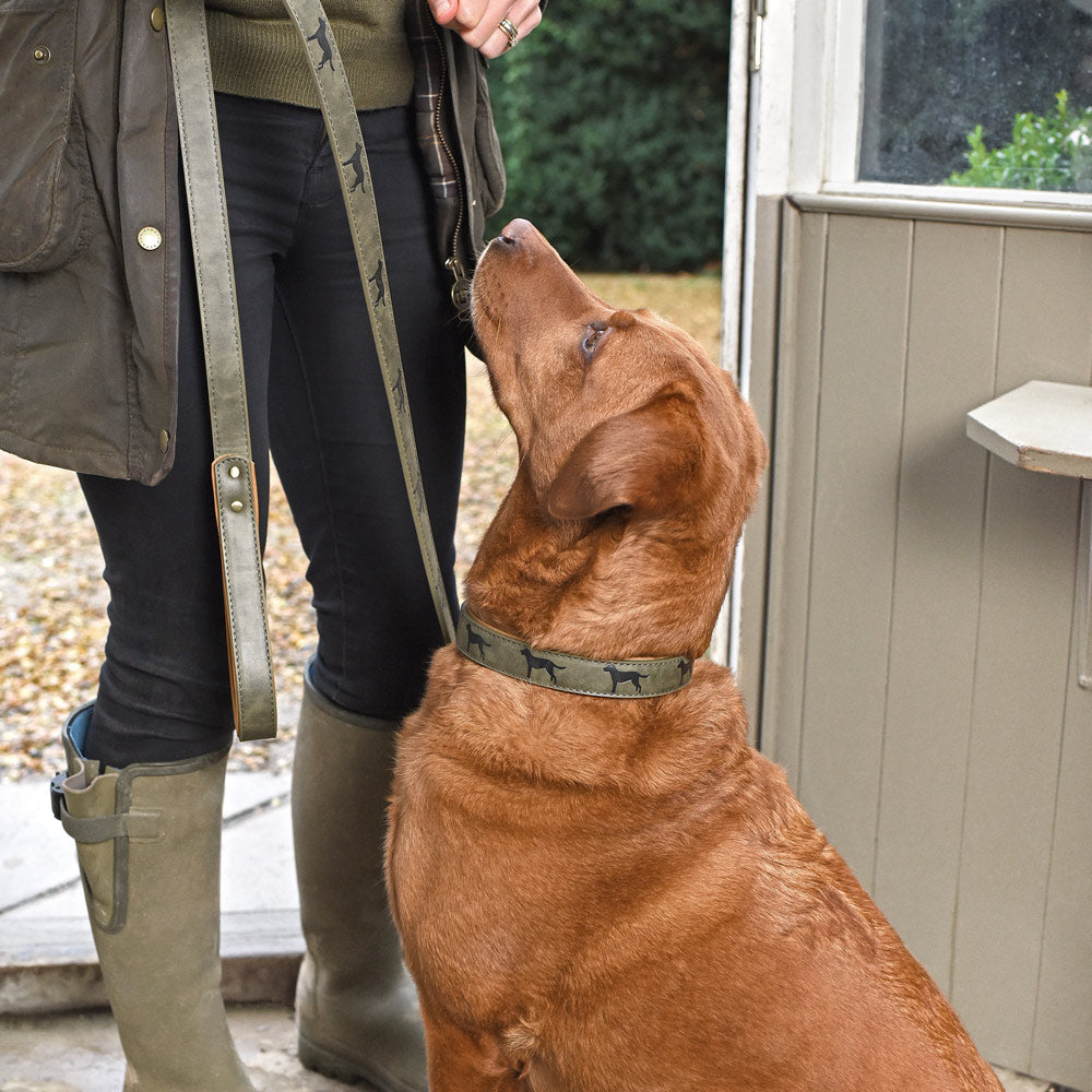 Forest Green Dog Lead