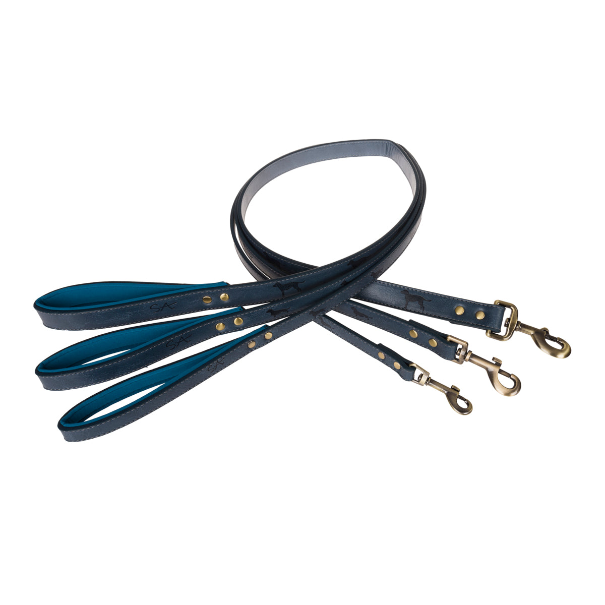 Teal Dog Lead