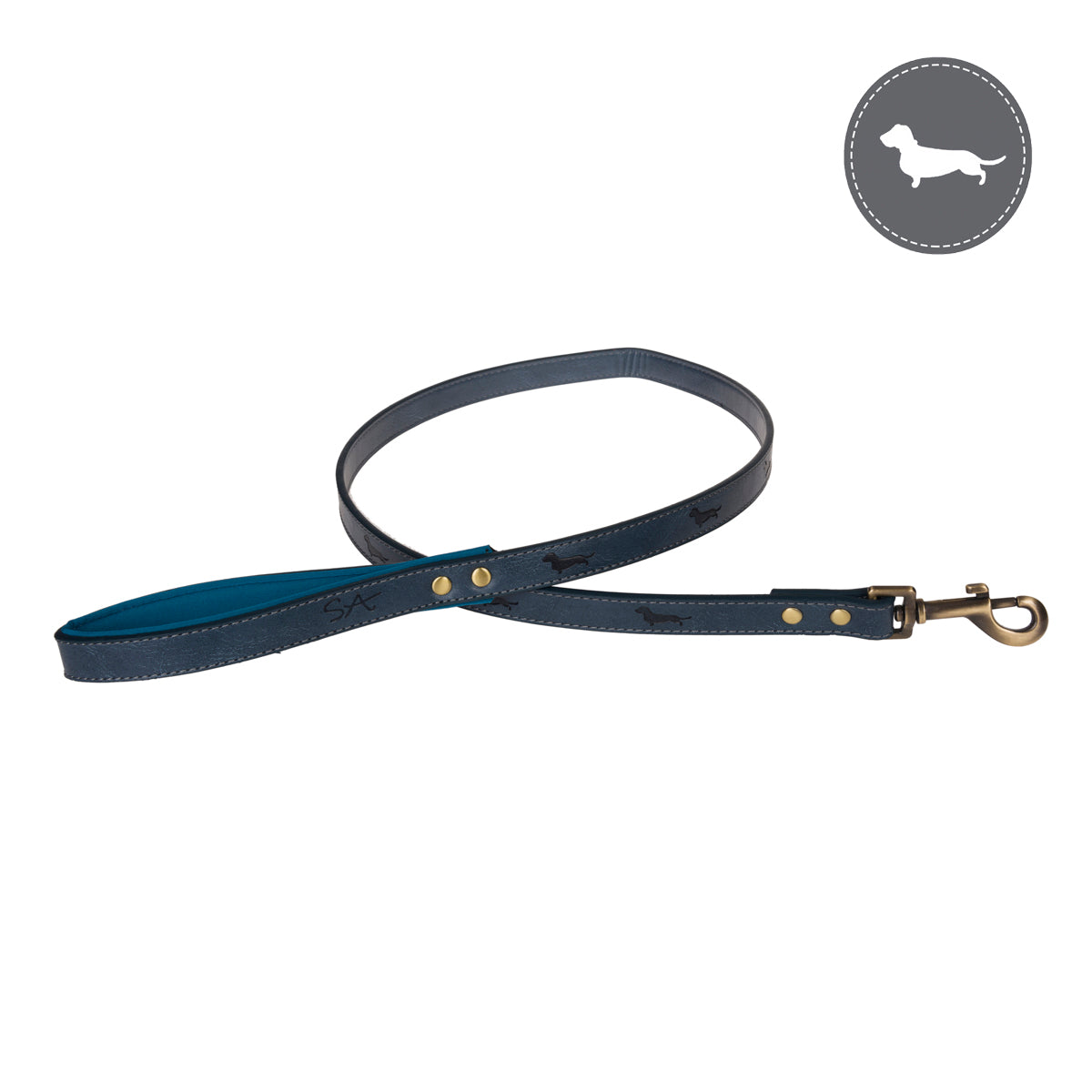 Teal Dog Lead